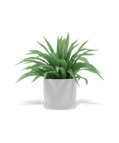 shop-lifestyle-bg-01